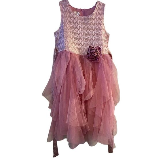 Biscotti Girls 4T Pink Tulle Ruffled Party Dress Sleeveless Knee Length - Picture 1 of 12